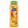Suave Essentials Gentle Body Wash, Mango & Citrus, 18 oz